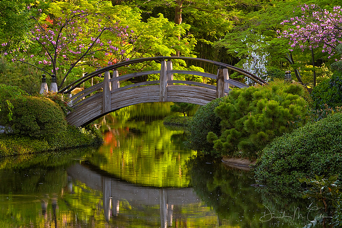 The Art of Garden and Flower Photography